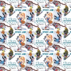 ΥΦΑΣΜΑ ΠΟΠΛΙΝΑ DIGITAL PRINT (DISNEY LICENSED) TUNE SQUAD GEOMETRIC