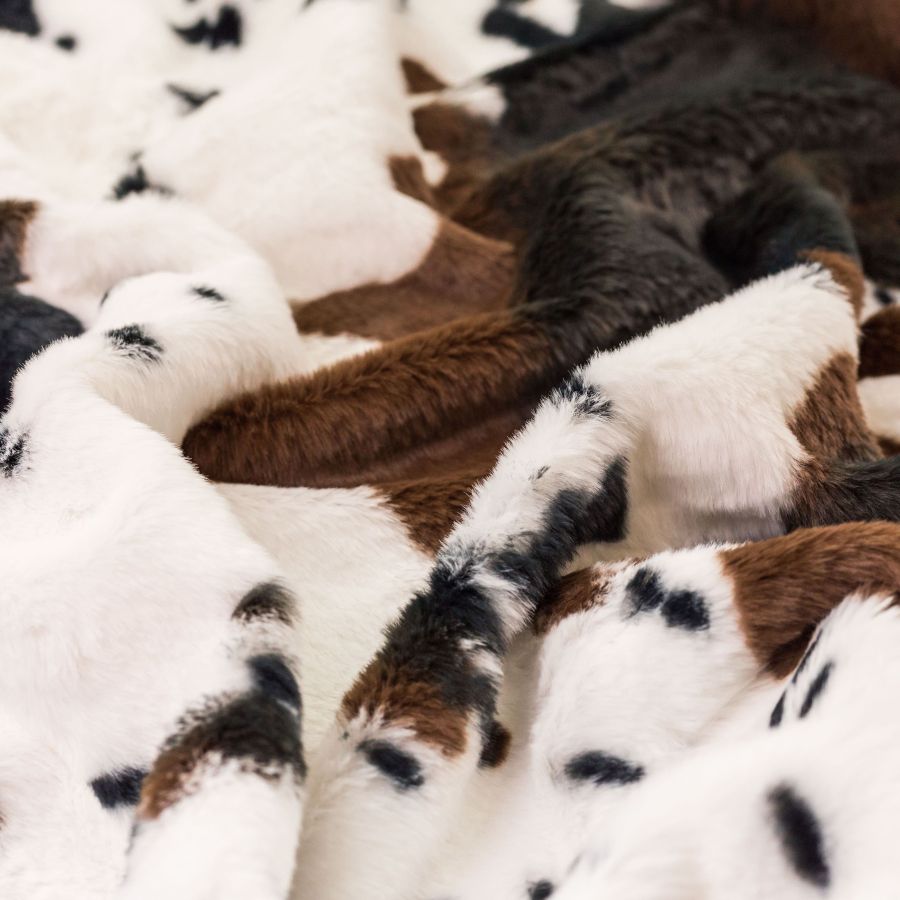 ΥΦΑΣΜΑ ΓΟΥΝΑ RABBIT FAUX FUR - ΜΕ ΠΟΛΥ ΜΑΛΑΚΟ ΚΟΝΤΟ ΠΕΛΟΣ, ΣΧΕΔΙΟ ΤΥΠΟΥ ΑΓΕΛΑΔΑ (COW PRINT) ΛΕΥΚΟ-ΚΑΦΕ-ΜΑΥΡΟ