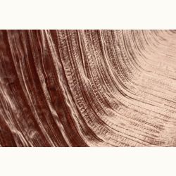 ΥΦΑΣΜΑ ΒΕΛΟΥΔΟ ΓΚΟΦΡΕ ''SILK TOUCH CHIFFON RAYON'' ΣΑΠΙΟ ΜΗΛΟ