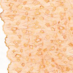 ΥΦΑΣΜΑ ΤΟΥΛΙ ΜΑΛΑΚΟ ΜΕ ΚΕΝΤΗΜΑ ΔΑΝΤΕΛΑ - ΓΕΩΜΕΤΡΙΚΑ ΑΚΑΝΟΝΙΣΤΑ ΣΧΕΔΙΑ ΣΟΜΟΝ - ΧΡΥΣΟ 