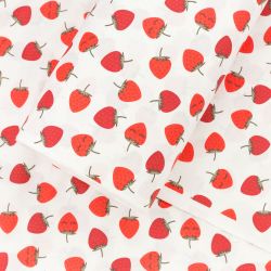 ΥΦΑΣΜΑ ΣΕΝΤΟΝΟΠΑΝΟ 100% ΒΑΜΒΑΚΕΡΟ ΠΕΝΝΙΕ – 160 ΚΛΩΣΤΩΝ |ΦΡΑΟΥΛΕΣ ΣΕ ΛΕΥΚΟ ΦΟΝΤΟ